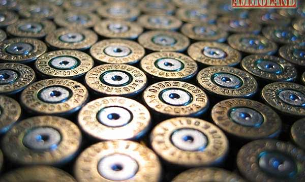 Shotgun shells close-up
